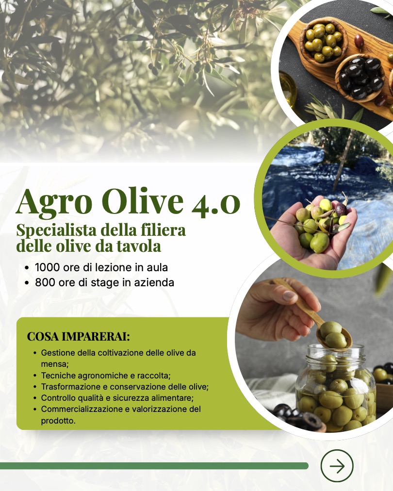 AGRO OLIVE